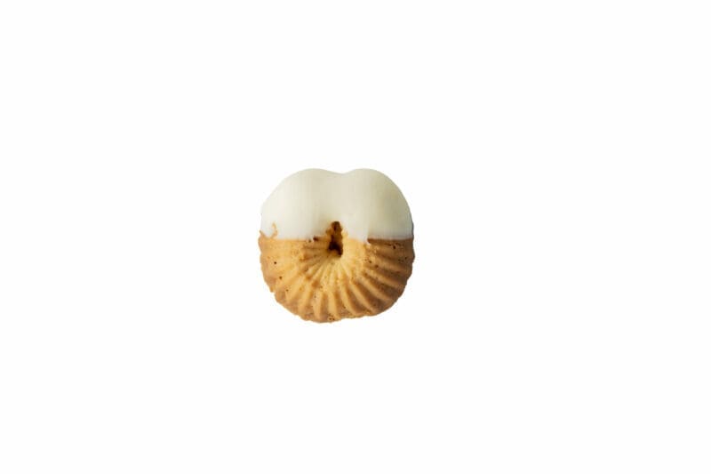 Conchiglie al cioccolato bianco